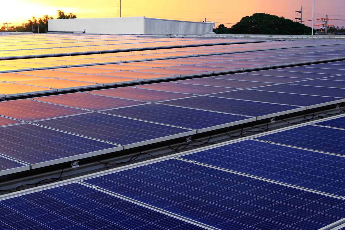 Large commercial rooftop covered in rows of solar panels at sunset