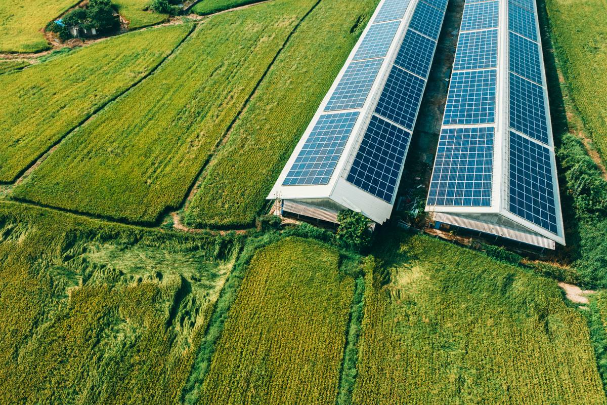Aerial view of farm buildings with solar panels on their roofs, surrounded by crop fields